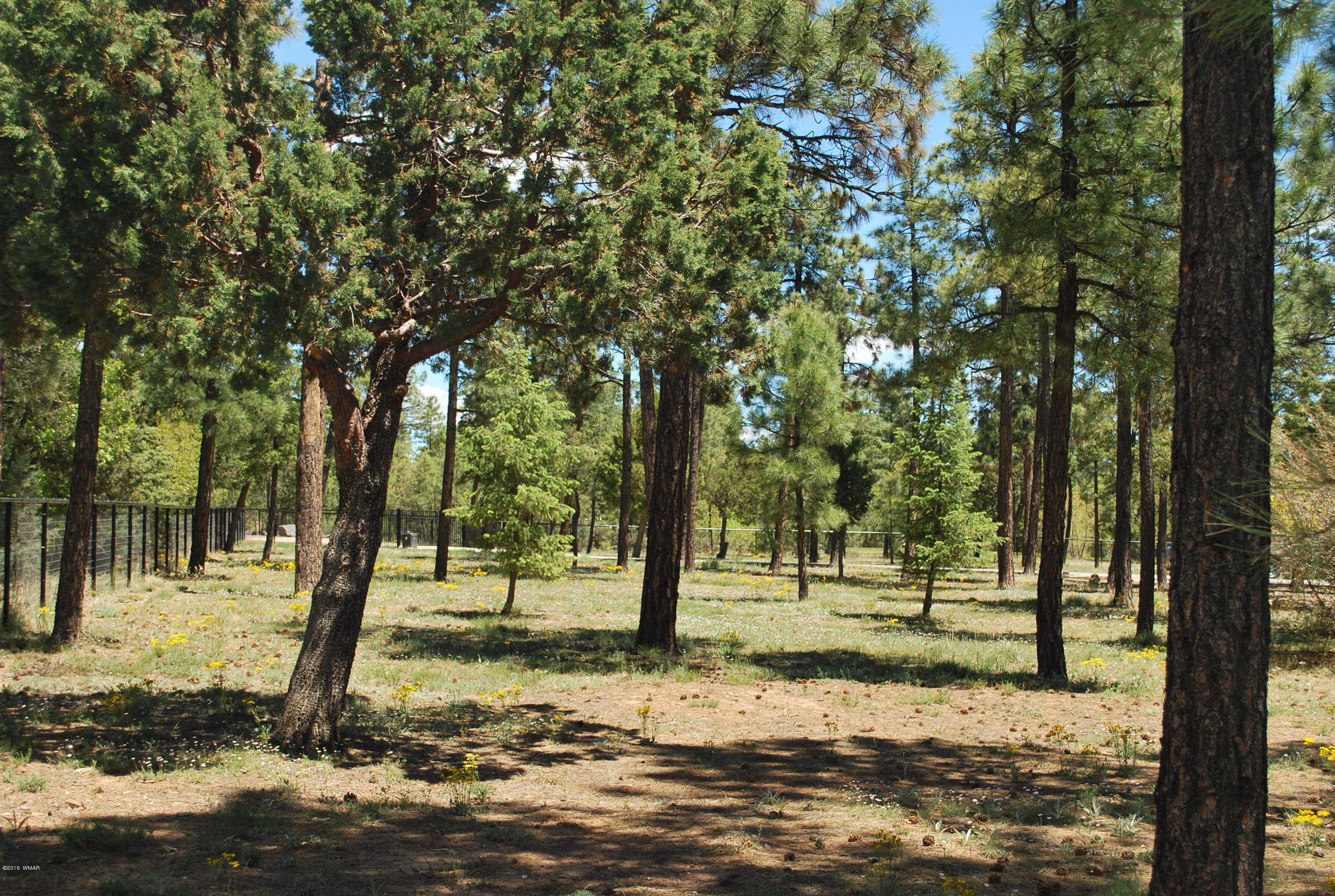 1810 Rim Road Lakeside, AZ 85929 - Photo 52 of 59