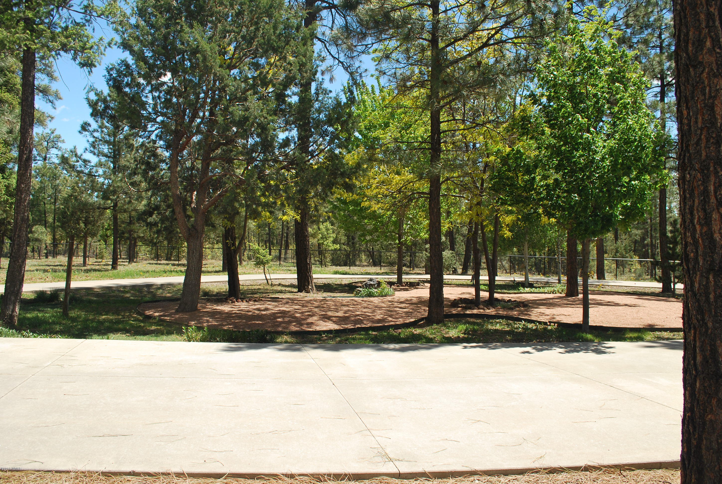 1810 Rim Road Lakeside, AZ 85929 - Photo 58 of 59