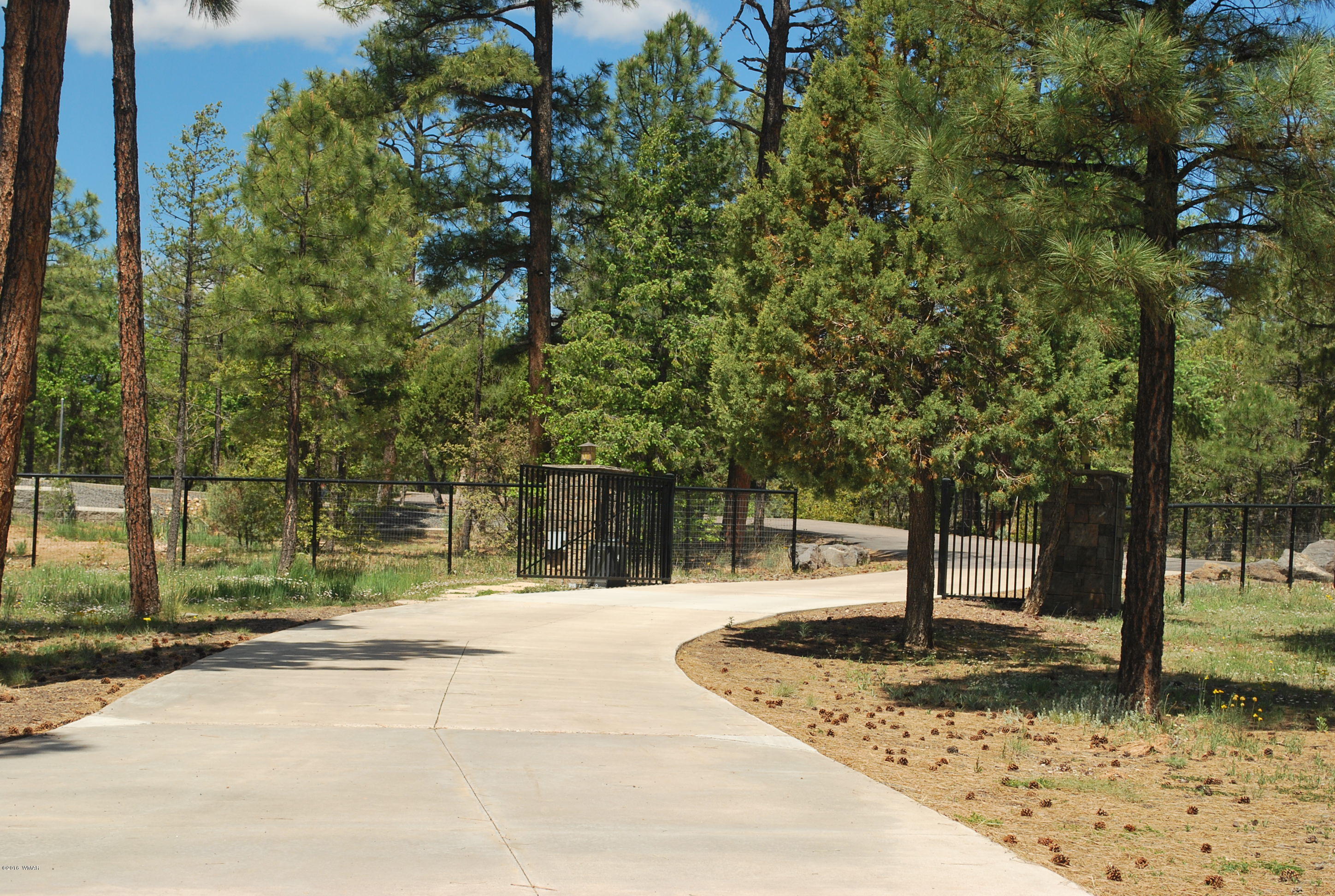 1810 Rim Road Lakeside, AZ 85929 - Photo 59 of 59