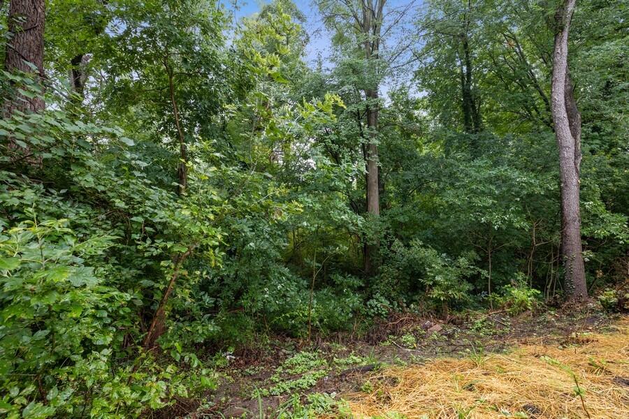 5841 Ridge Road Stevensville, MI 49127 - Photo 30 of 33 30_5841RidgeRd_26_BackYard_LowRes