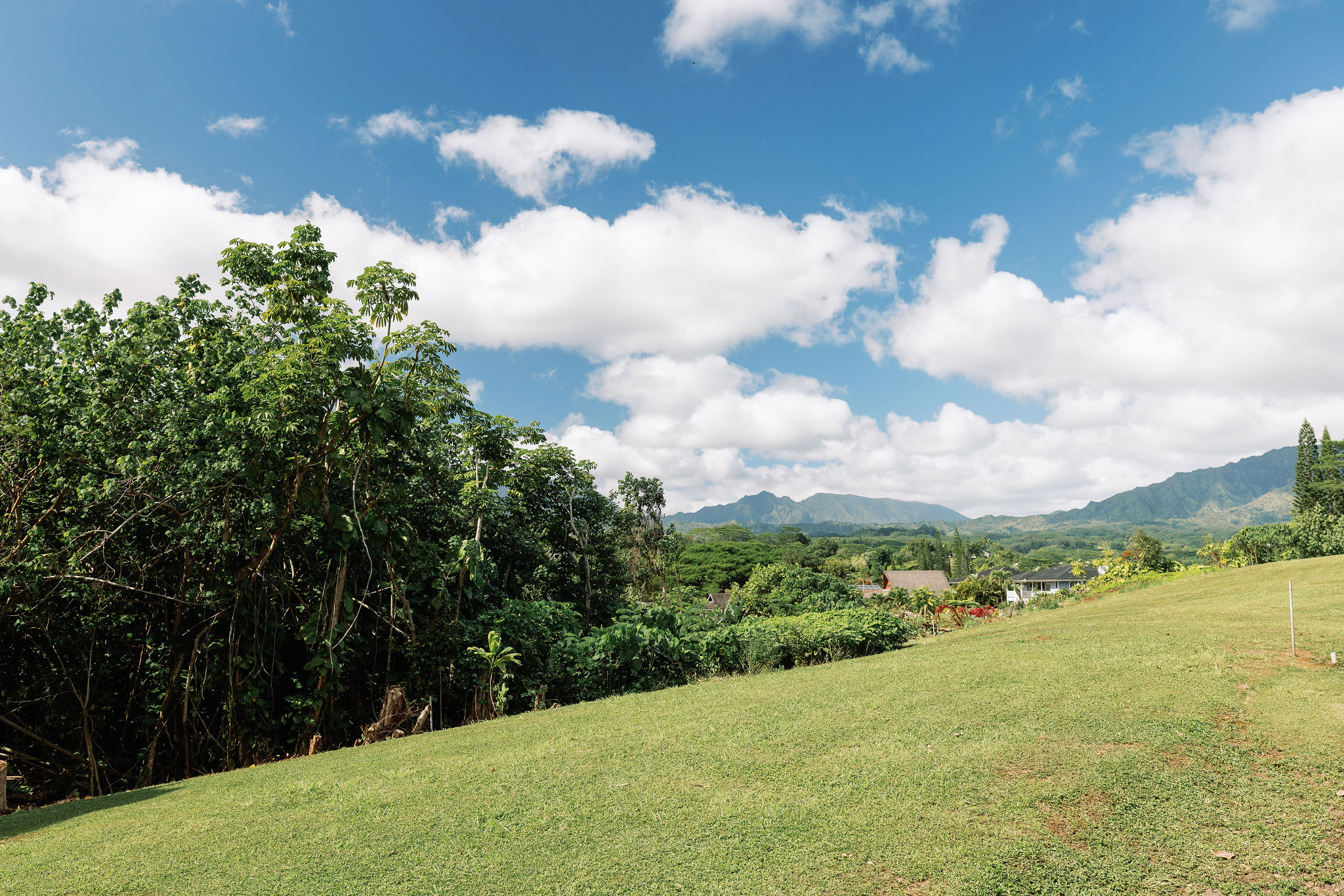 6546 D Kuamoo Road, Unit 2 Kapaa, HI 96746 - Photo 3 of 4