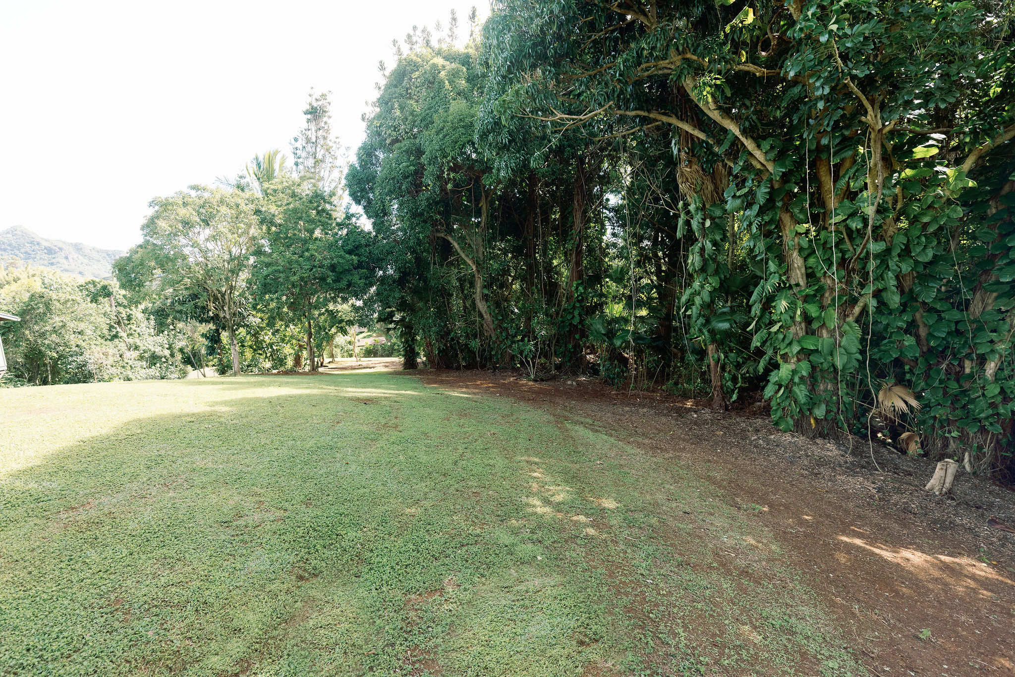 6546 D Kuamoo Road, Unit 2 Kapaa, HI 96746 - Photo 4 of 4