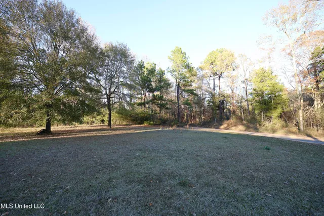 $120,000 | 93 Pat Leake Road North, Woodville, MS 39669