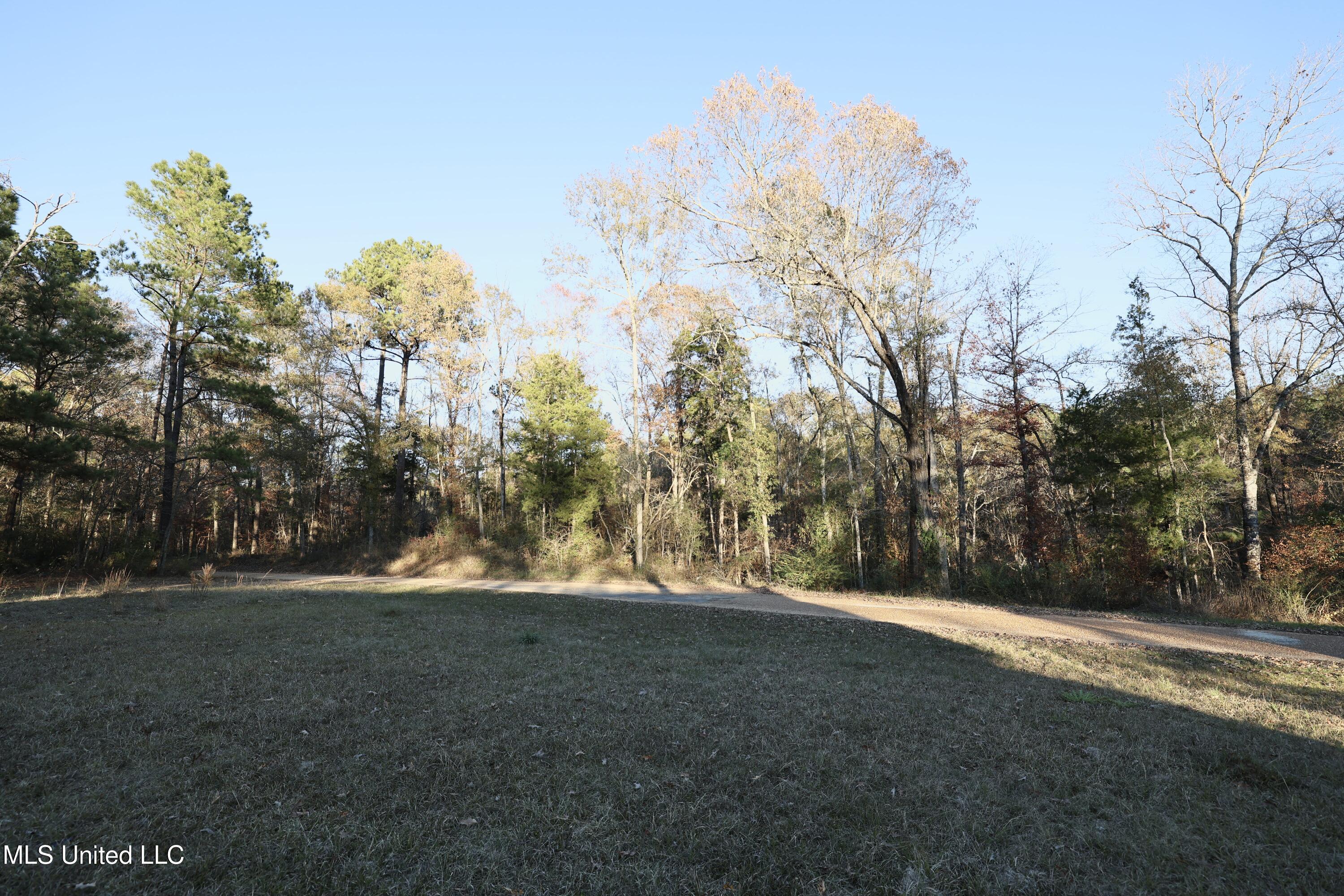 93 Pat Leake Road North Woodville, MS 39669 - Photo 18 of 20 FR6A5221