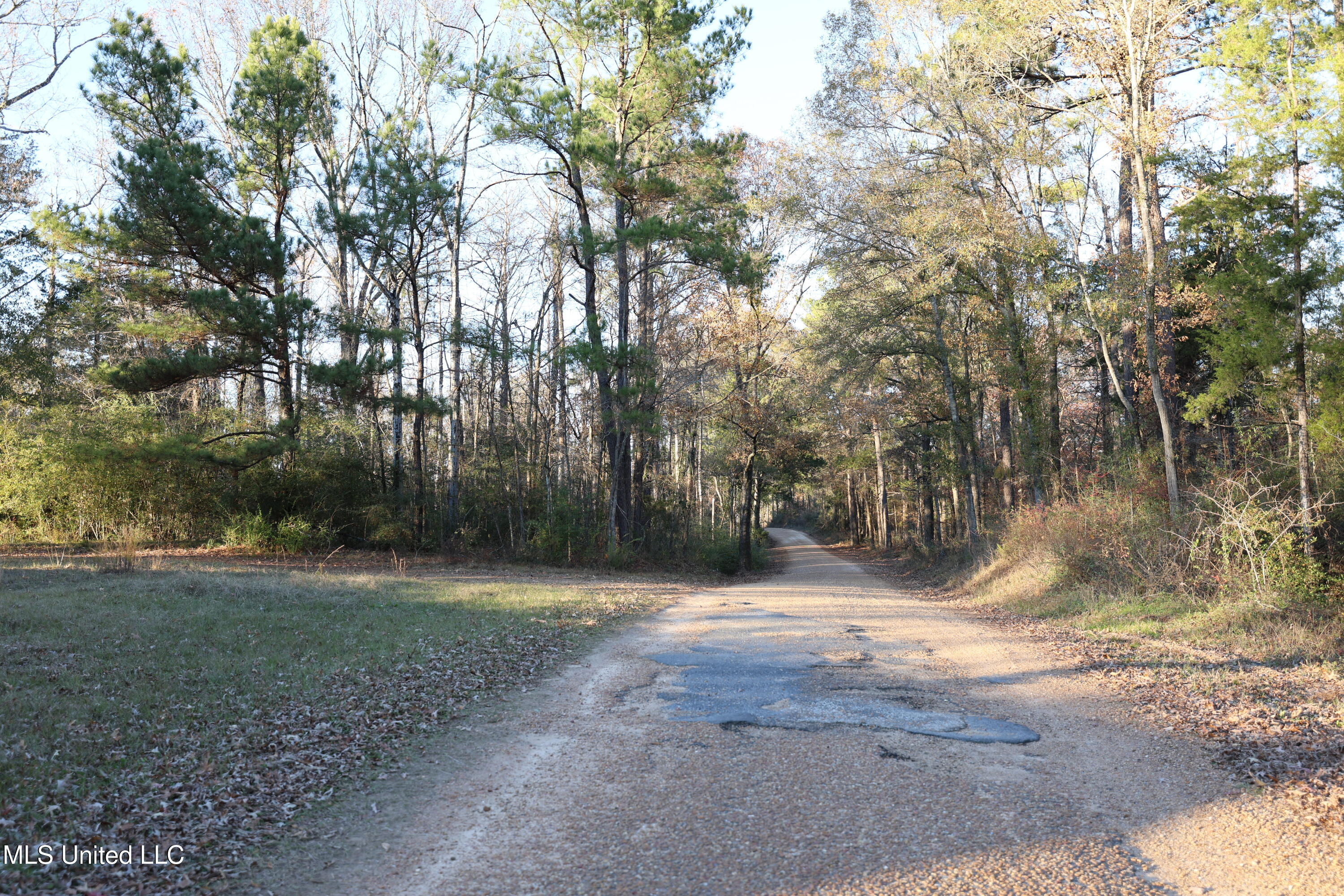 93 Pat Leake Road North Woodville, MS 39669 - Photo 19 of 20 FR6A5223