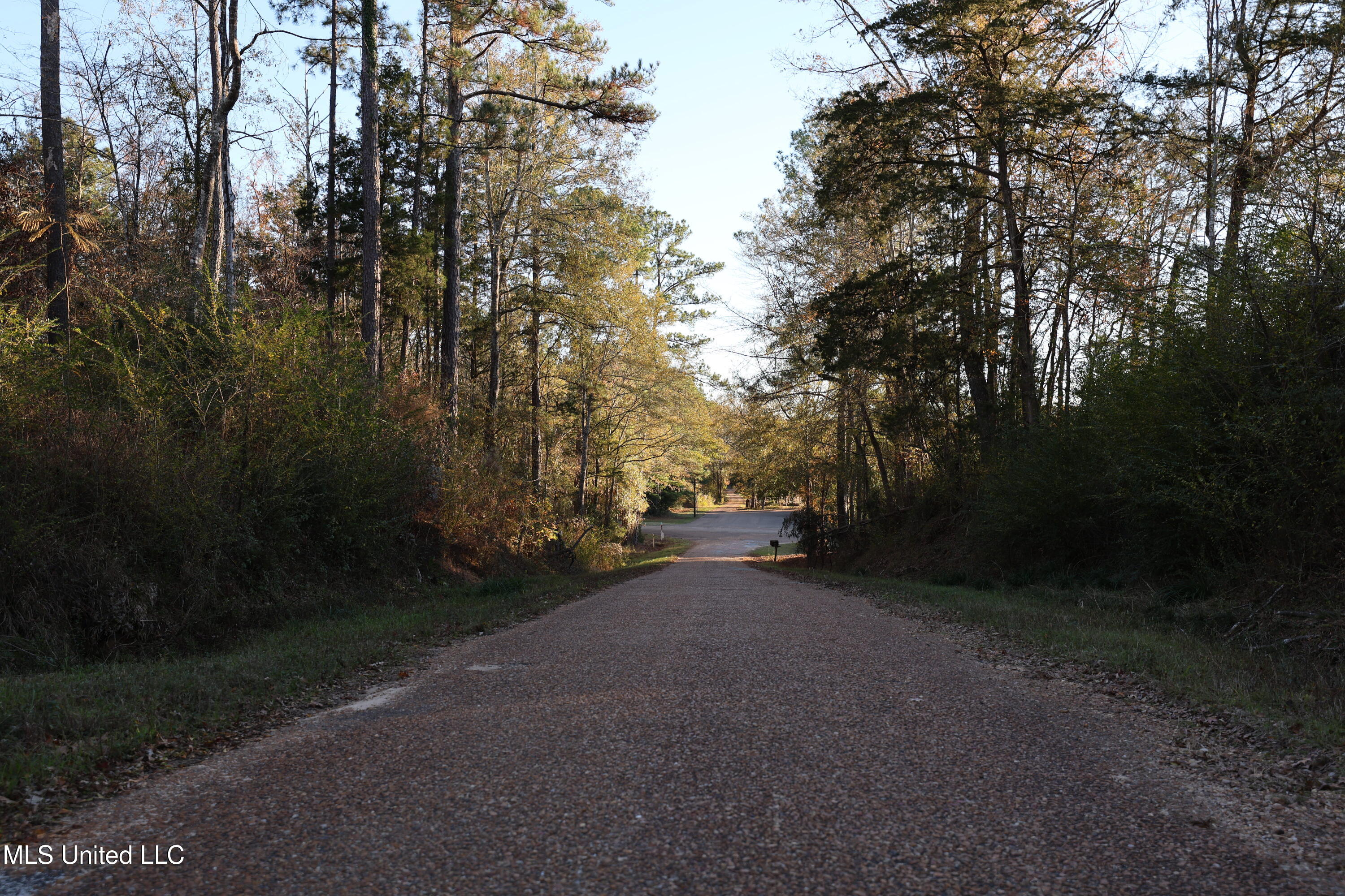 93 Pat Leake Road North Woodville, MS 39669 - Photo 20 of 20 FR6A5225