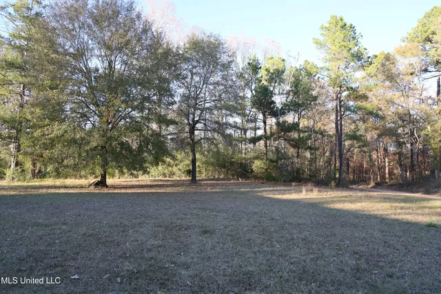 $120,000 | 93 Pat Leake Road North, Woodville, MS 39669