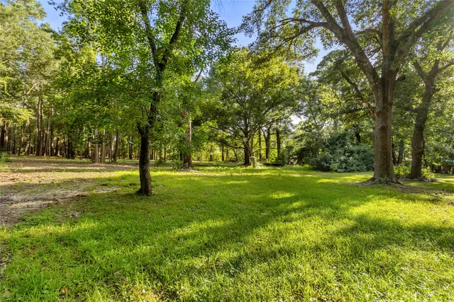 a view of outdoor space with trees all around