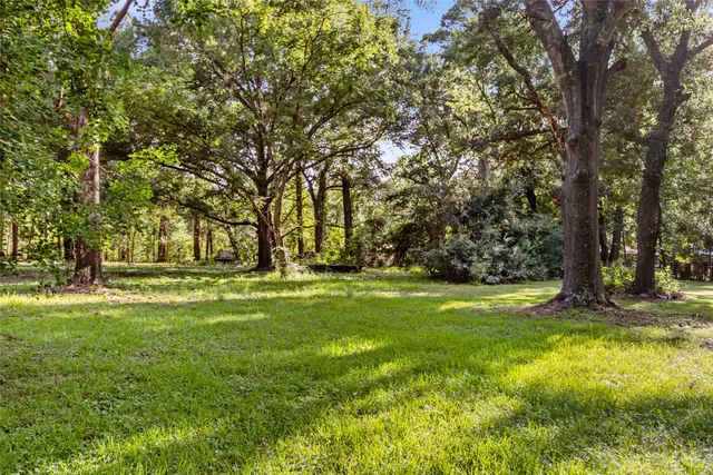 a view of outdoor space with trees all around