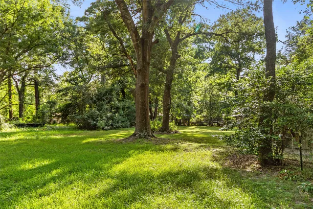 a view of park space