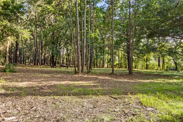 a view of backyard with green space