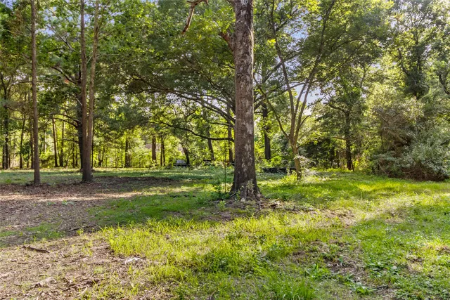 a view of backyard with green space