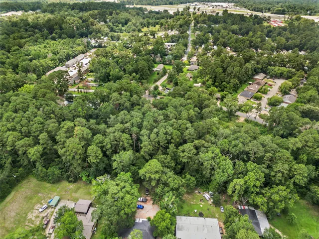 a view of a forest with a tree