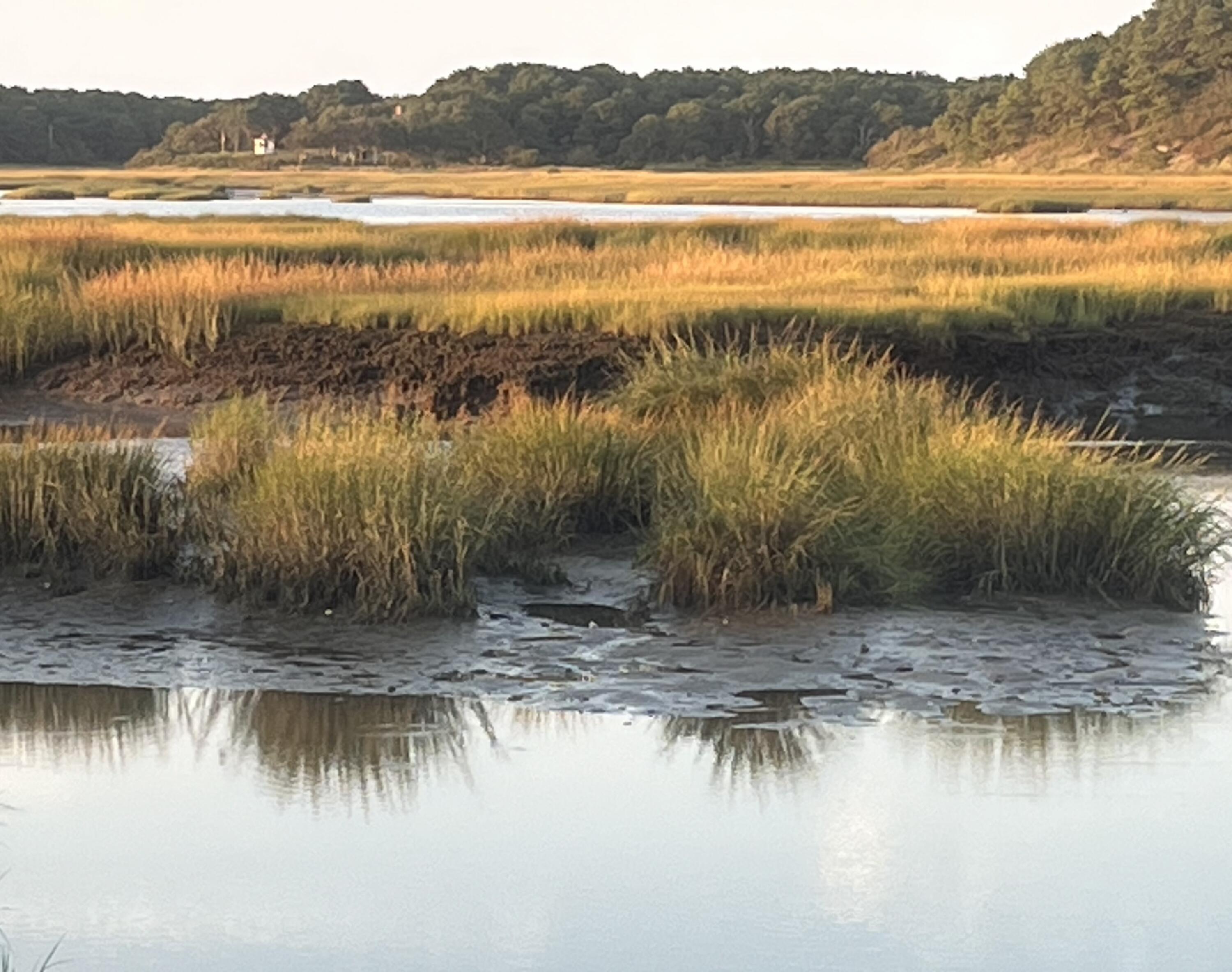 1020 3rd Avenue Wellfleet, MA 02667 - Photo 43 of 62 IMG_6940 (1)