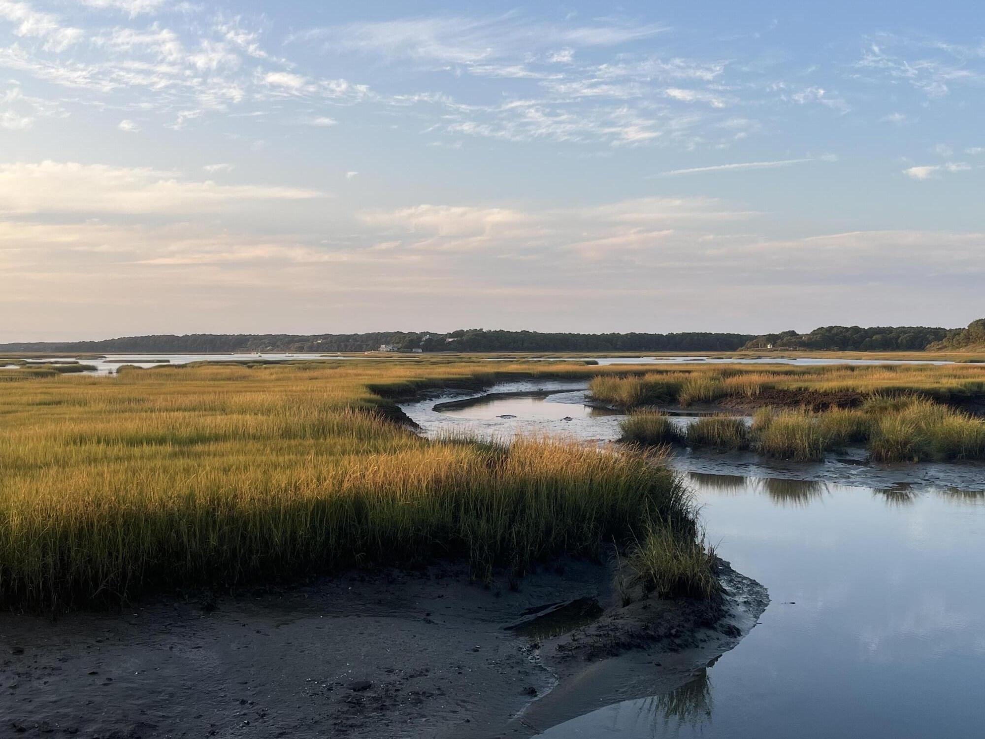 1020 3rd Avenue Wellfleet, MA 02667 - Photo 46 of 62 IMG_6938 (1)
