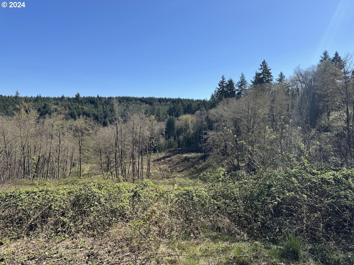 Smith Road St. Helens, OR 97051 - Photo 8 of 19 Gallery Image 8