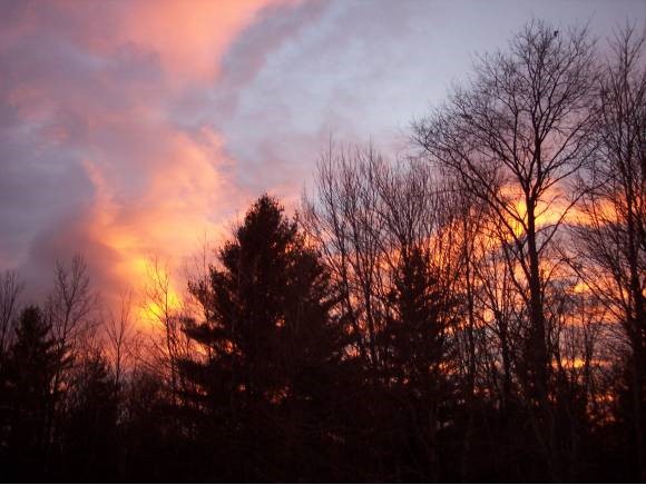 55 Maple Leaf Road Underhill, VT 05489 - Photo 2 of 30 Gallery Image 2