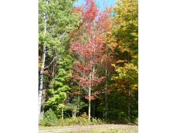 55 Maple Leaf Road Underhill, VT 05489 - Photo 27 of 30 Gallery Image 27