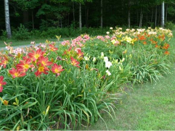55 Maple Leaf Road Underhill, VT 05489 - Photo 7 of 30 Gallery Image 7