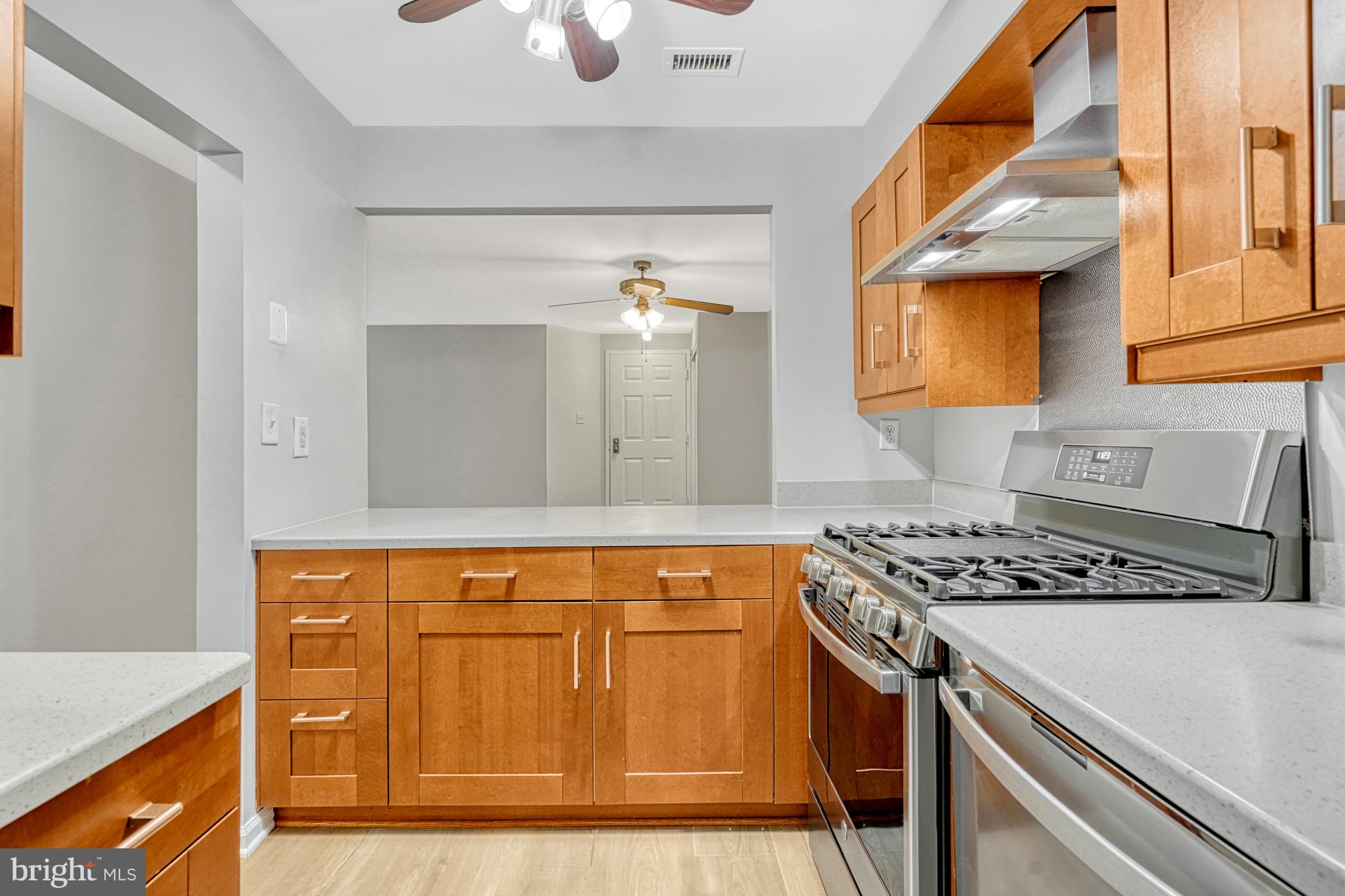 5815 Cove Landing Road, Unit 204 Burke, VA 22015 - Photo 14 of 39 ample cabinets