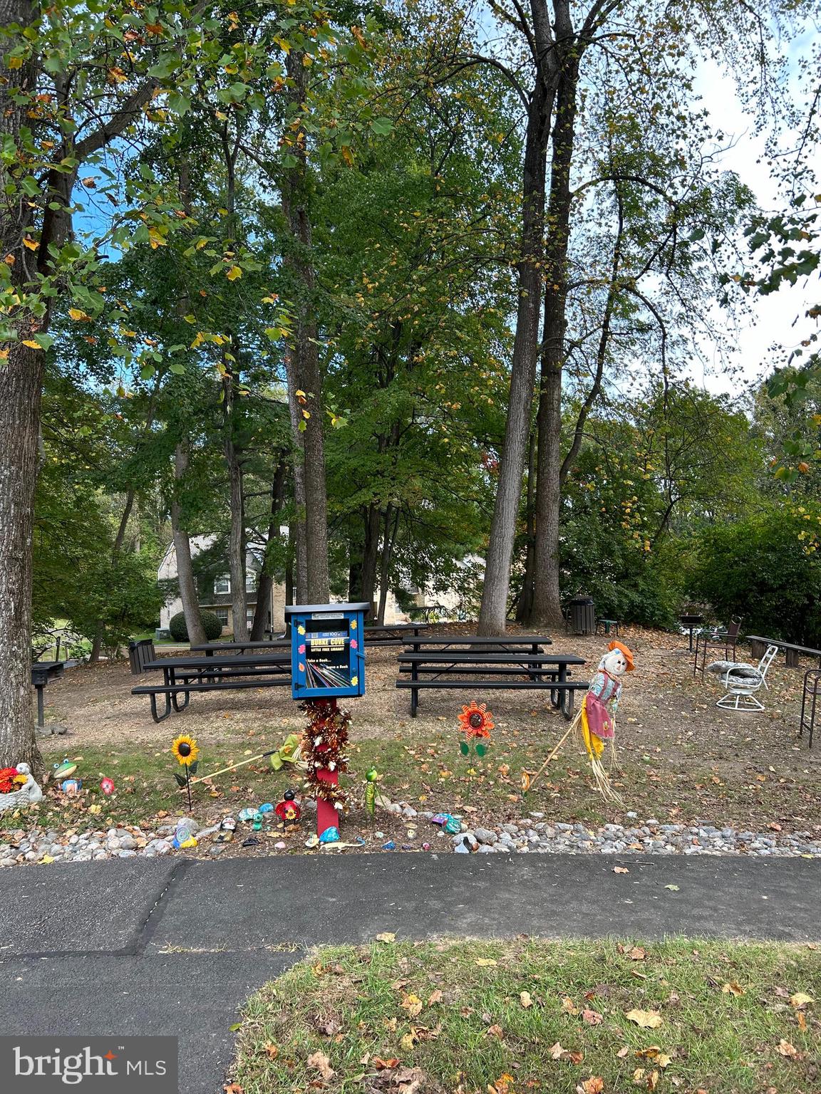 5815 Cove Landing Road, Unit 204 Burke, VA 22015 - Photo 34 of 39 picnic / hang out area