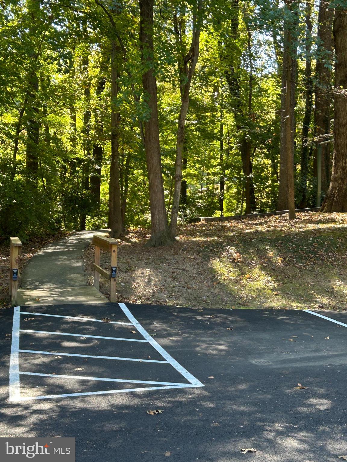 5815 Cove Landing Road, Unit 204 Burke, VA 22015 - Photo 36 of 39 walking trail