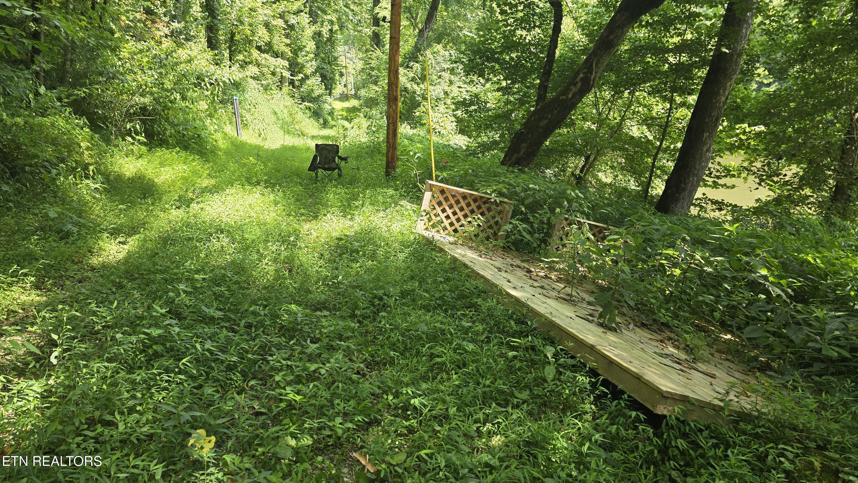 4245 Cave Springs Road Tazewell, TN 37879 - Photo 11 of 14 10