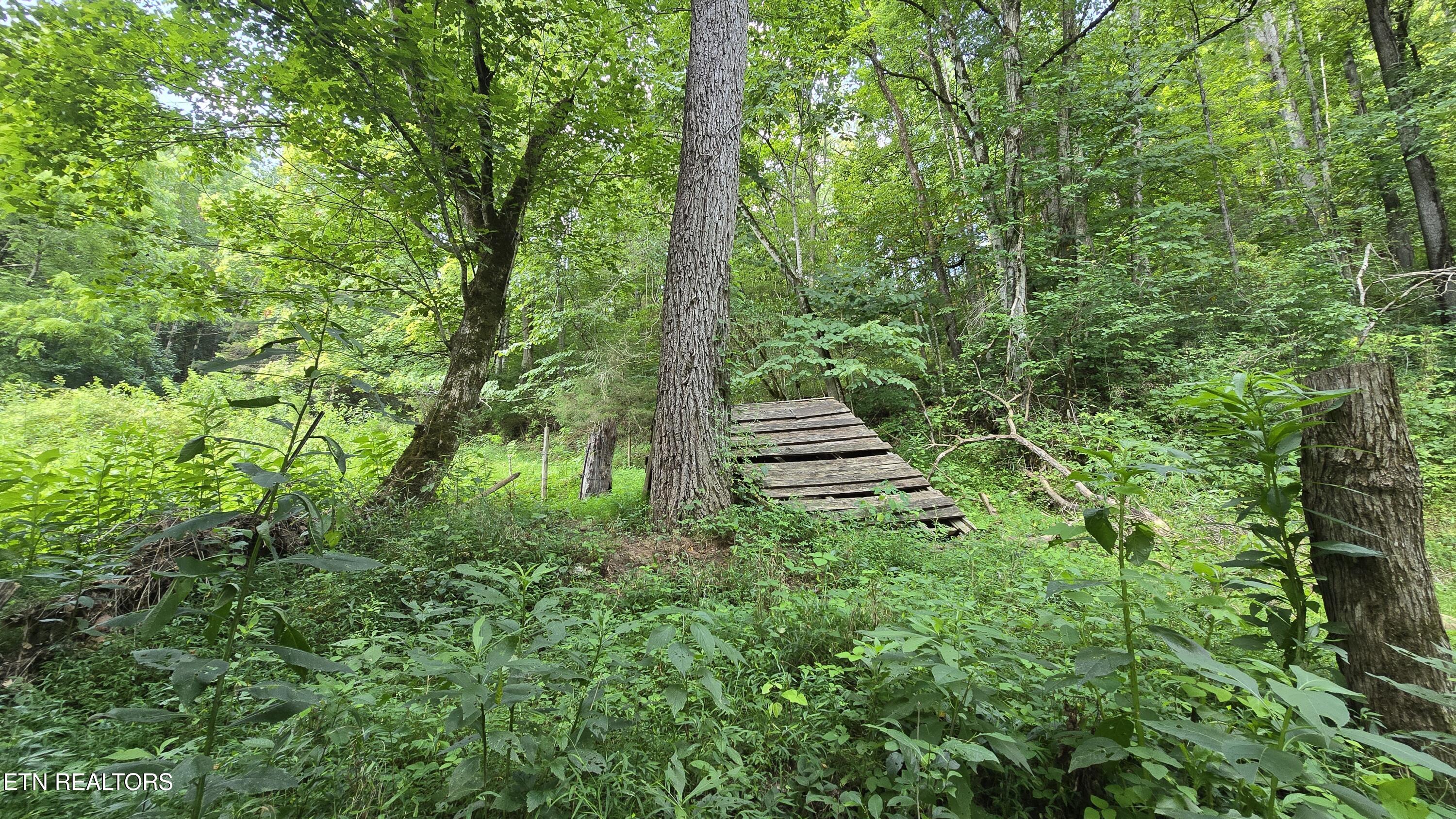 4245 Cave Springs Road Tazewell, TN 37879 - Photo 12 of 14 20250708_115918