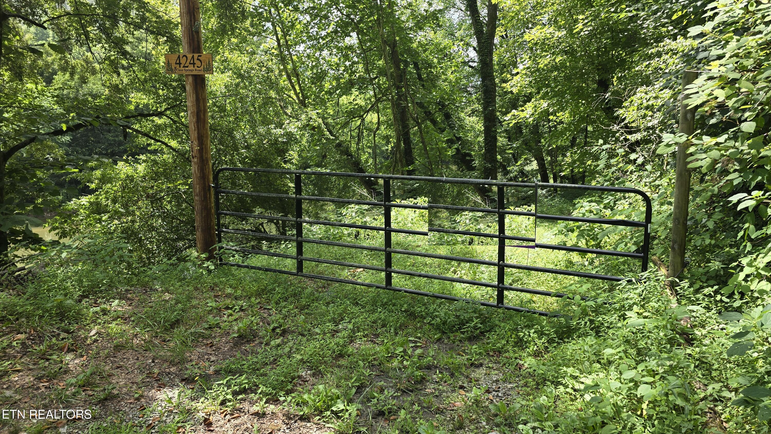 4245 Cave Springs Road Tazewell, TN 37879 - Photo 3 of 14 Entrance Gate