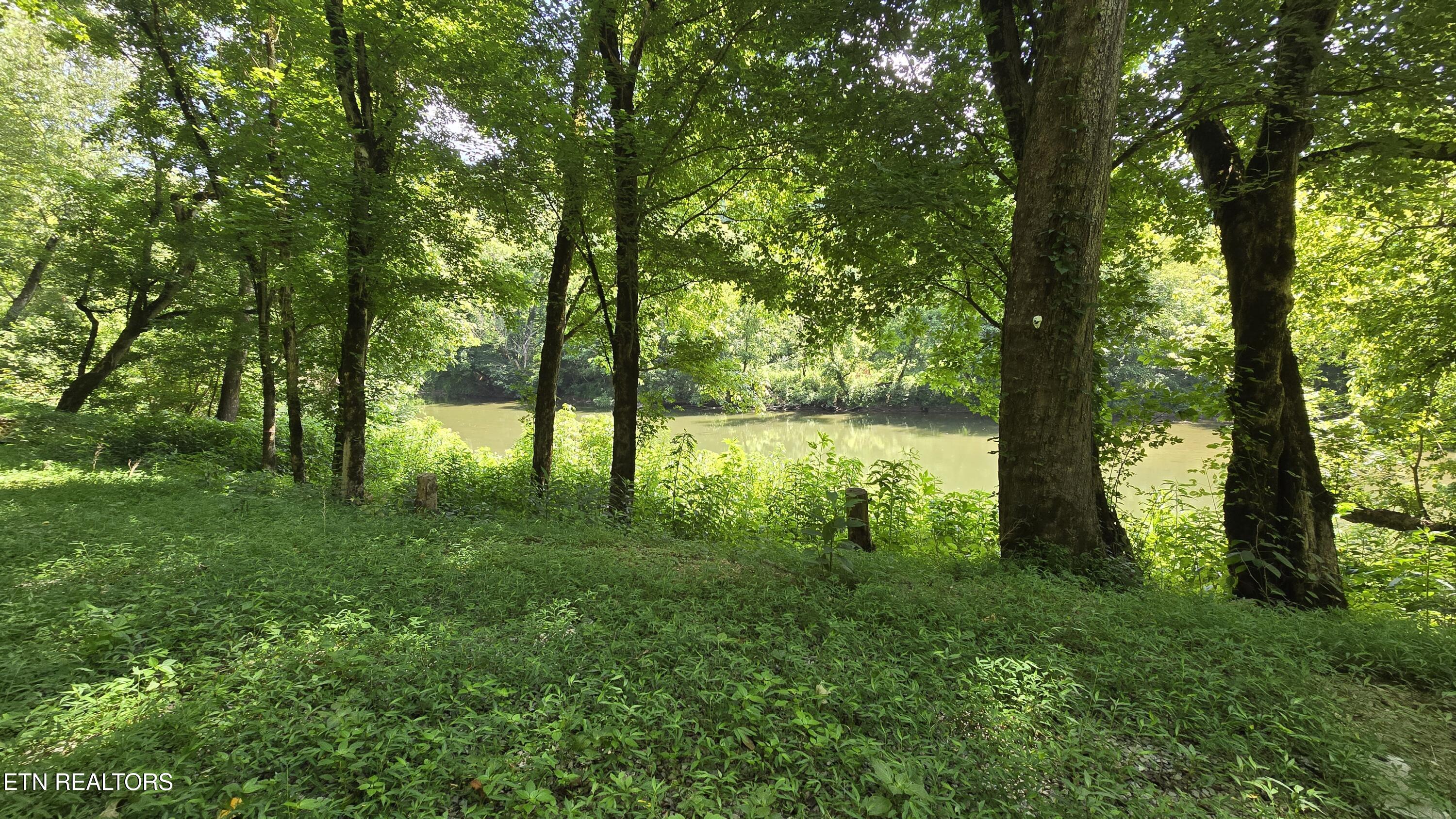 4245 Cave Springs Road Tazewell, TN 37879 - Photo 4 of 14 2