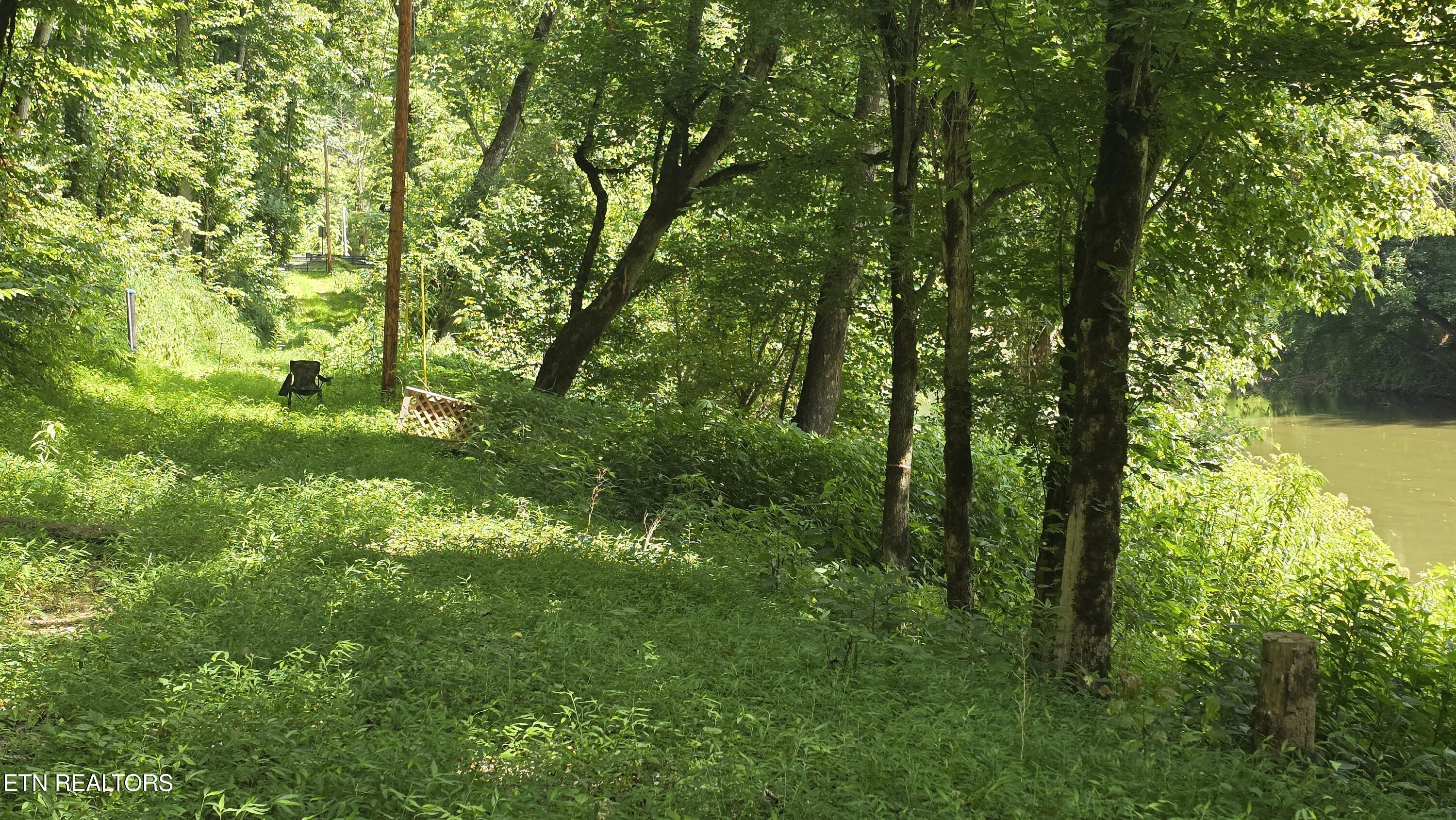 4245 Cave Springs Road Tazewell, TN 37879 - Photo 5 of 14 7