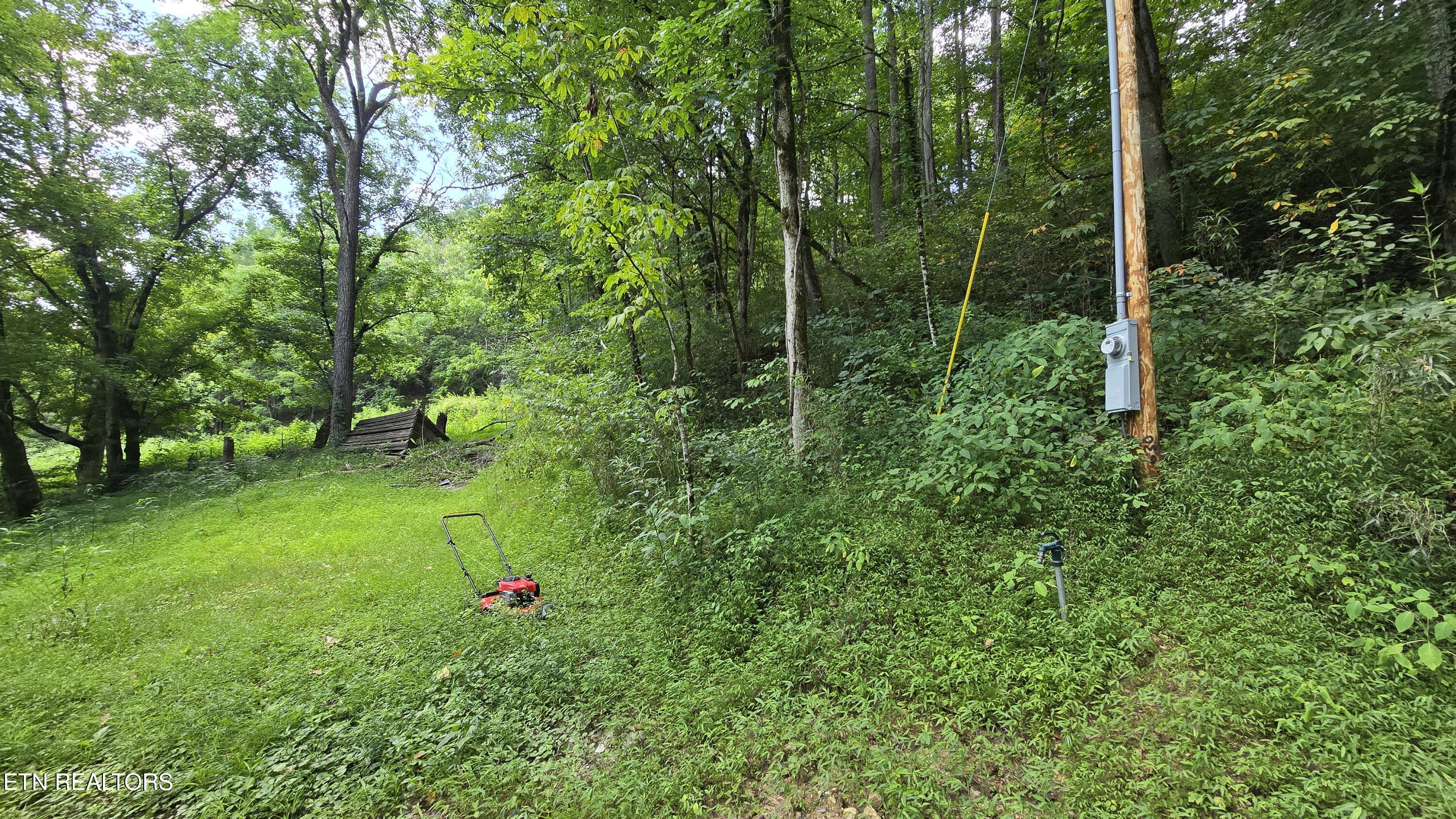 4245 Cave Springs Road Tazewell, TN 37879 - Photo 6 of 14 3