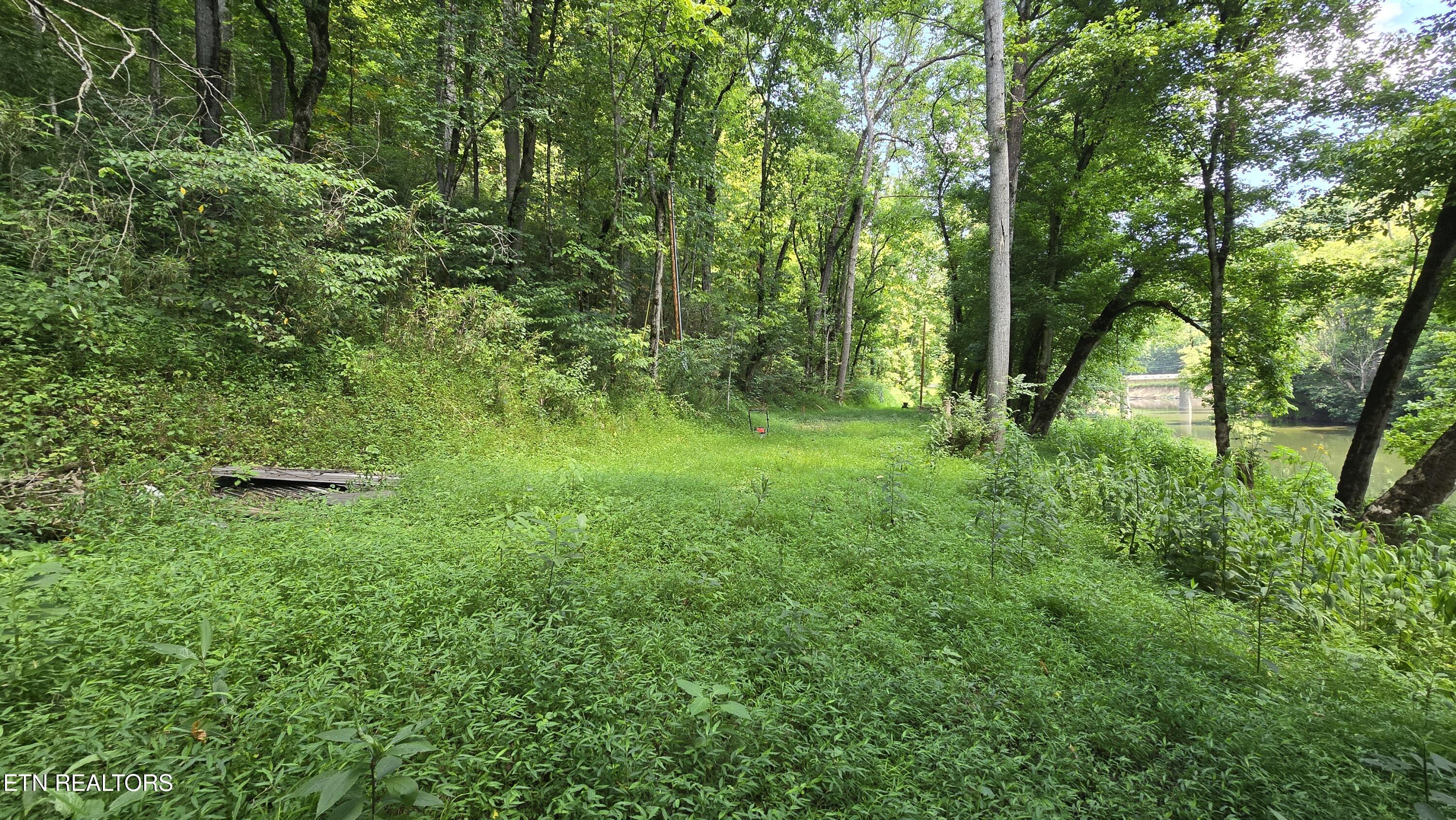 4245 Cave Springs Road Tazewell, TN 37879 - Photo 7 of 14 4