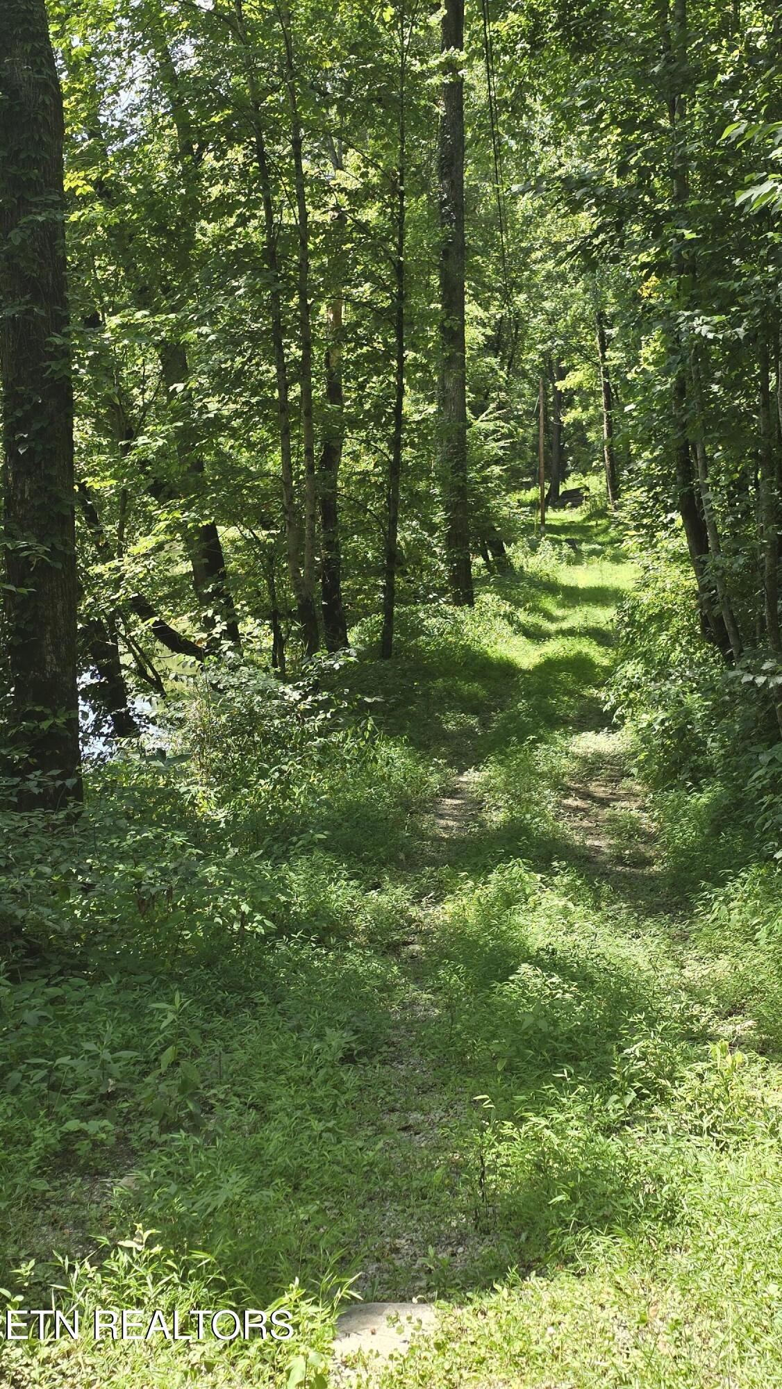 4245 Cave Springs Road Tazewell, TN 37879 - Photo 9 of 14 Access Rd