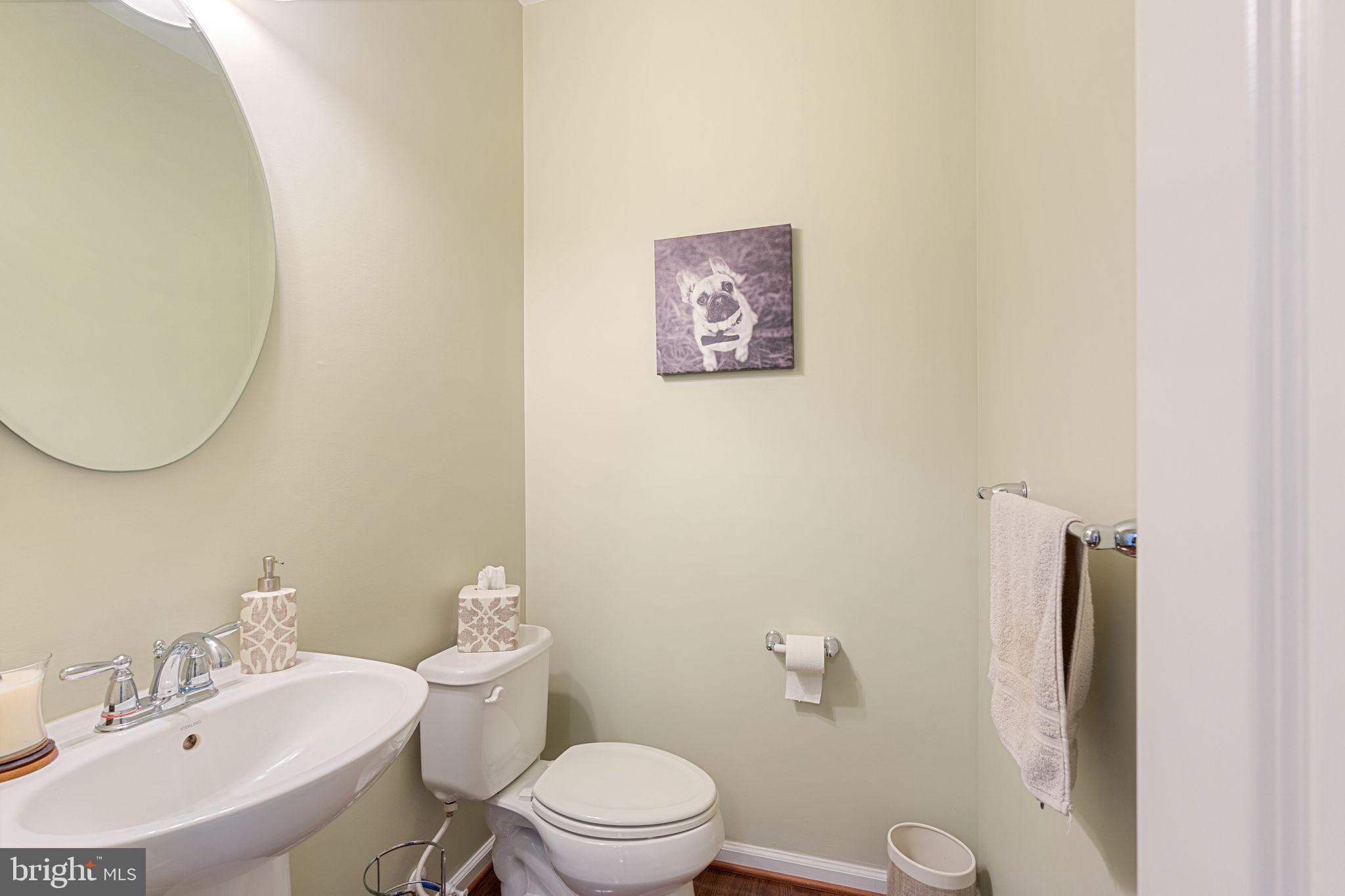 3921 Cephas Child Road Doylestown, PA 18902 - Photo 26 of 59 1st floor powder room