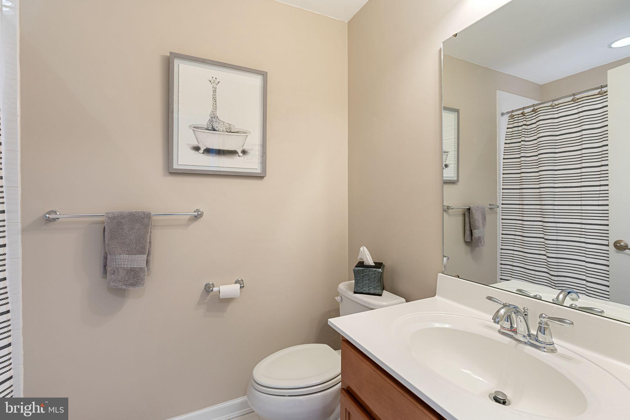 3921 Cephas Child Road Doylestown, PA 18902 - Photo 39 of 59 Hall bath with tub/shower combination