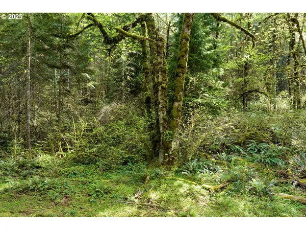 $350,000 | Boscage, Springfield, OR 97478