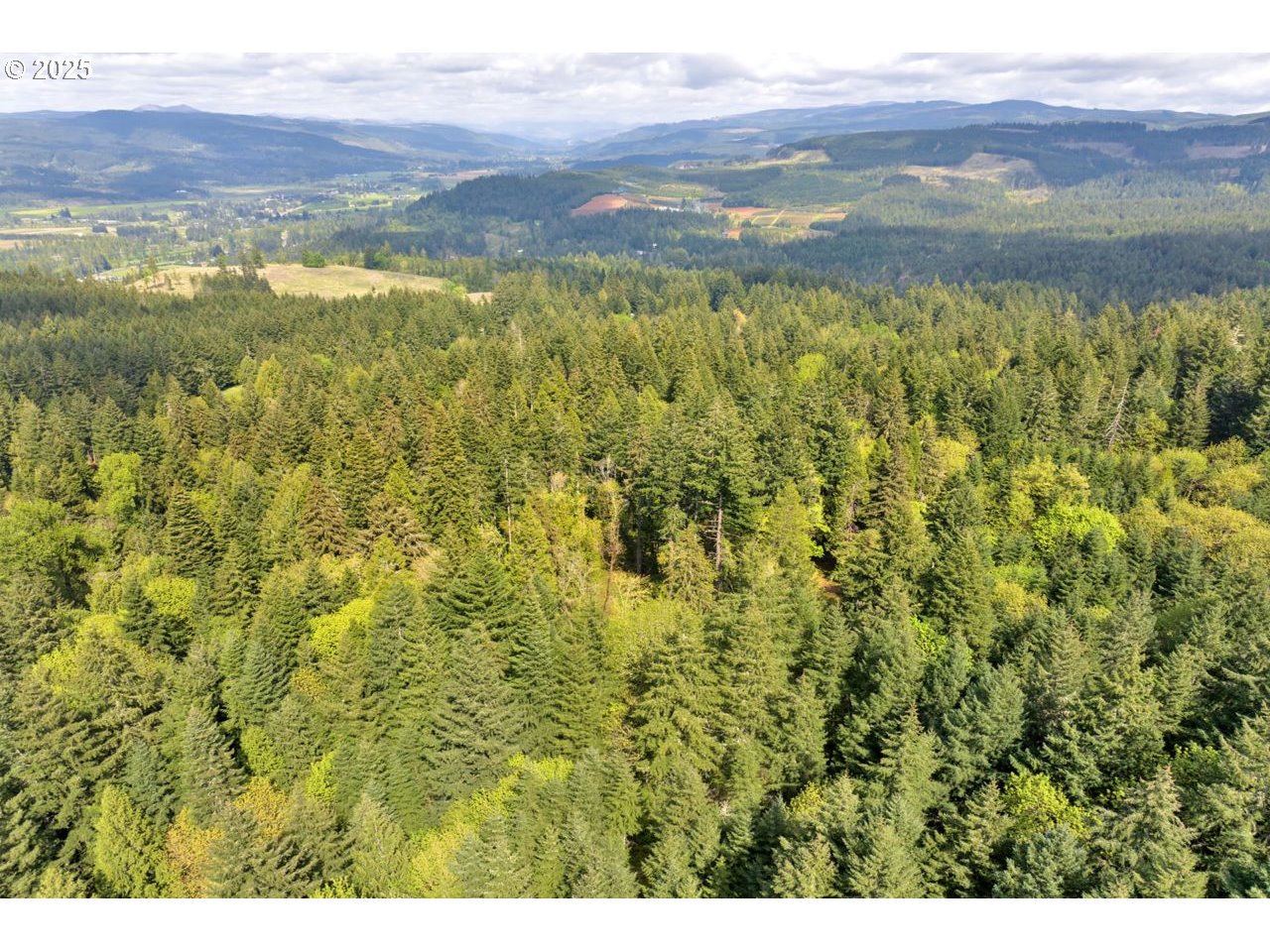 Boscage Springfield, OR 97478 - Photo 17 of 17