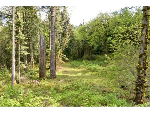 $350,000 | Boscage, Springfield, OR 97478