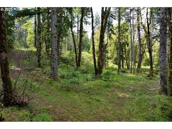 $350,000 | Boscage, Springfield, OR 97478