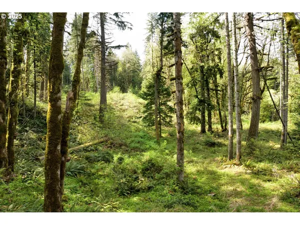 $350,000 | Boscage, Springfield, OR 97478