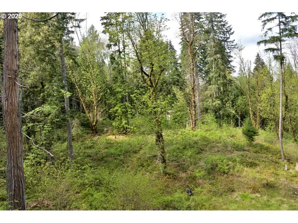 $350,000 | Boscage, Springfield, OR 97478
