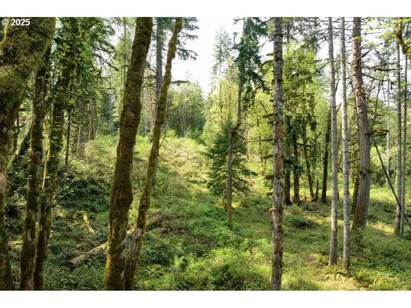 $350,000 | Boscage, Springfield, OR 97478