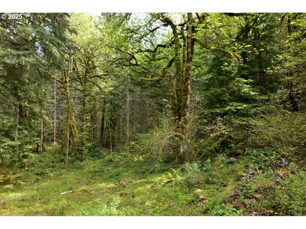 $350,000 | Boscage, Springfield, OR 97478