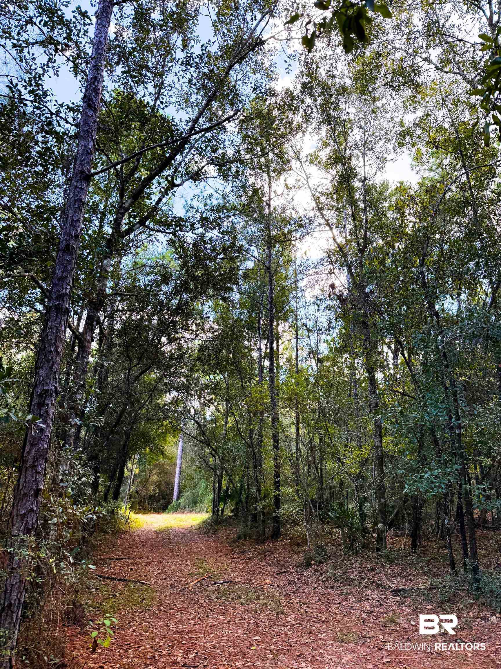 0 Red Feather Drive Seminole, AL 36574 - Photo 7 of 13 View of wooded area