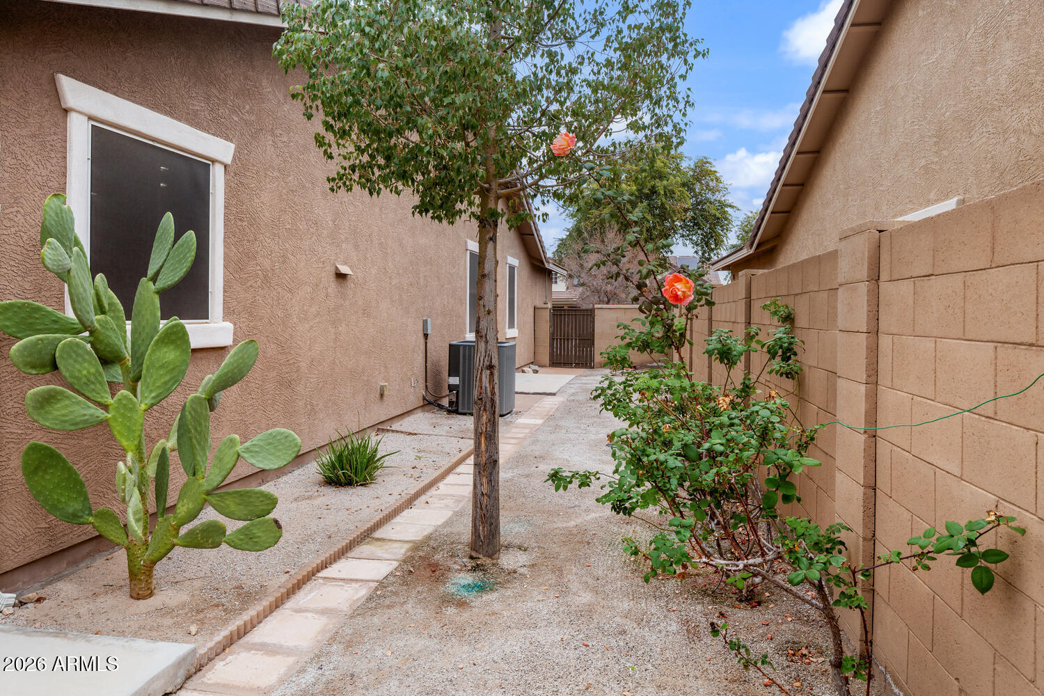 3246 North Springfield Street Buckeye, AZ 85396 - Photo 26 of 27 a potted plant sitting in front of a house