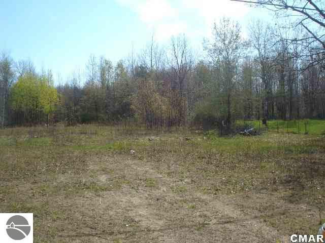 456 North Coleman Road Shepherd, MI 48883 - Photo 3 of 8 1764528-2.JPG