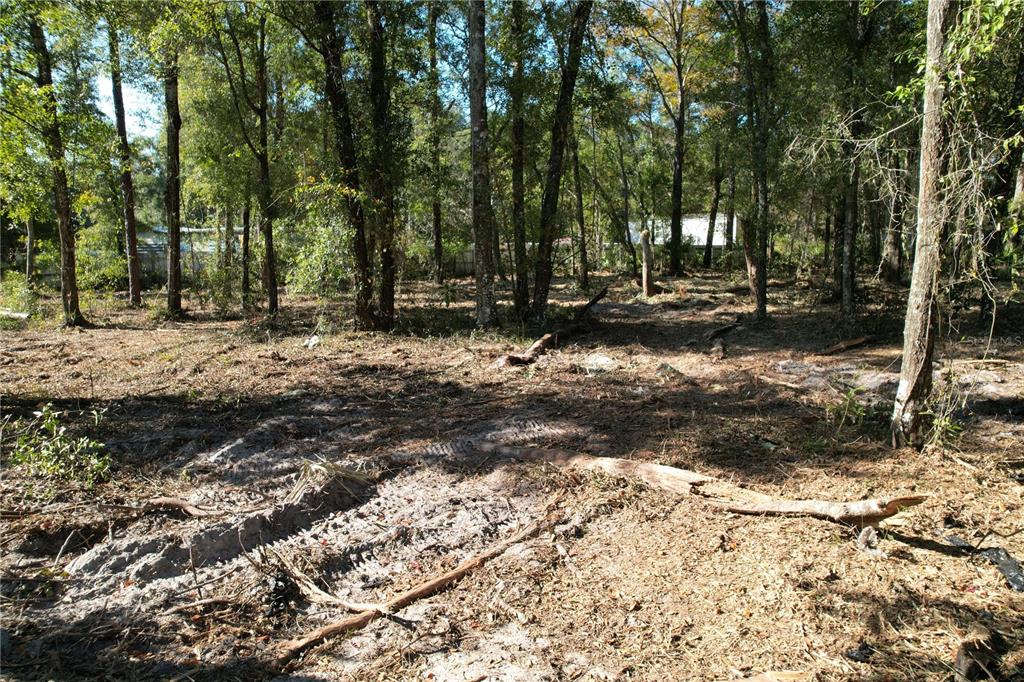 Northwest 7th Place Ocala, FL 34482 - Photo 1 of 7 a view of a yard with trees