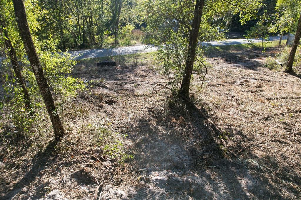 Northwest 7th Place Ocala, FL 34482 - Photo 5 of 7 a view of a yard with plants and large trees