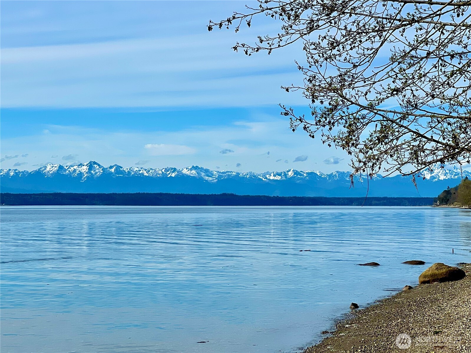6908 190th Avenue Southwest Longbranch, WA 98351 - Photo 11 of 11 a view of an ocean